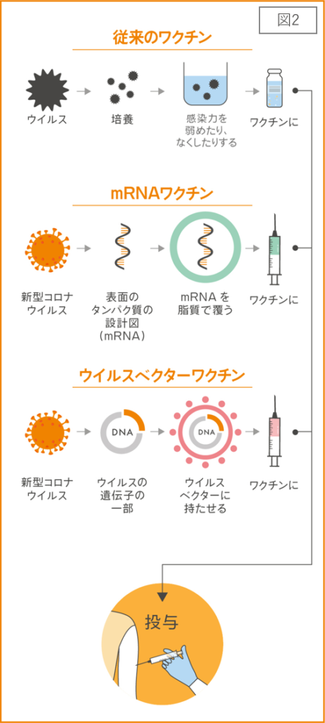 メッセンジャー rna ワクチン